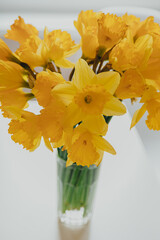 Bouquet of daffodils in vase on table