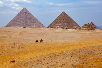 Egyptian man and his camels walking in The Sahara Desert in sunny day.
