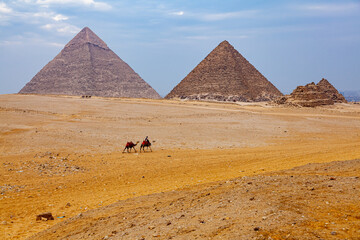Fototapeta na wymiar Egyptian man and his camels walking in The Sahara Desert in sunny day.