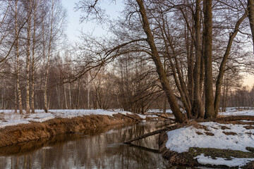 Melting ice and snow. Spring landscape, evening forest with a river. The beginning of spring. Awakening of nature. Charming landscapes of spring nature.