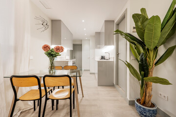 Living room with dining table, large plant to one side and gray kitchen in the background