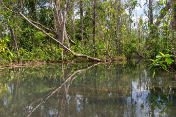 Obraz premium watershed forest in Surat Thani Thailand has crystal clear water The most visited tourist attraction