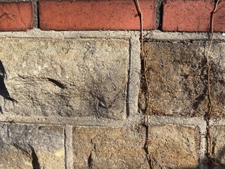 an old weathered red and light grey brick wall with plant vines
