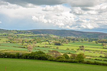 Naklejka premium Radnor hills in Wales.