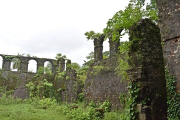 Fototapeta na wymiar ruin of vasai fort , mumbai, india