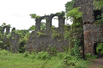 Fototapeta na wymiar abandoned vasai fort, maharashtra, india 