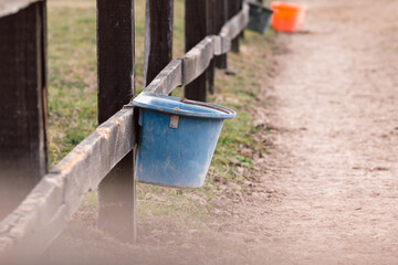 Feeding horses bucket attached to paddock fence on a farm