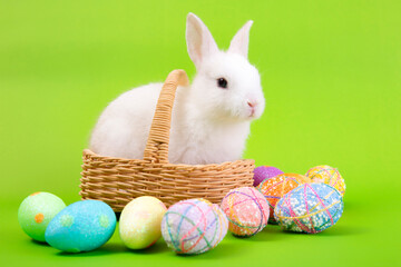 Easter bunny and eggs concept.