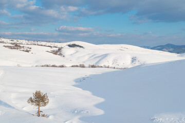 Winter mountain landscape in snow