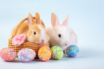 Easter bunny and eggs concept.