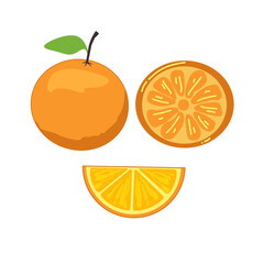 set of vector hand drawn illustration of orange fruit icons isolated on a white background.  Symbol for orange, citrus, acid, vitamins, healthy, food, juicy.