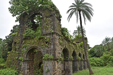 Fototapeta na wymiar ruin of vasai fort mumbai, india 