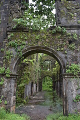 Obraz premium ruin of vasai fort, india 