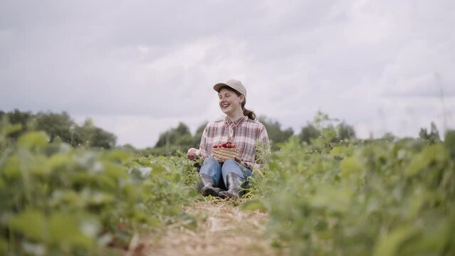 Young happy woman in plaid shirt, jeans, cap and boots sits between rows of green strawberry bushes. Farmer smiles, tosses berry, strokes cultivated plants. On feet stands basket of ripe red fruits.