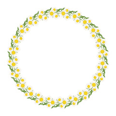 Daisy wreath. Round frame, cute white flowers chamomile with yellow hearts and leaves. Festive decorations for wedding, holiday, postcard, poster and design. Vector flat illustration