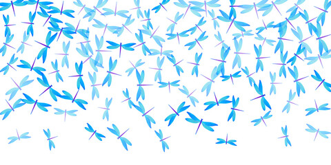 Fototapeta na wymiar Fairy cyan blue dragonfly flat vector wallpaper. Summer colorful damselflies. Detailed dragonfly flat children background. Gentle wings insects graphic design. Tropical creatures