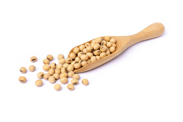Closeup soy beans in wooden spoon isolated on white background