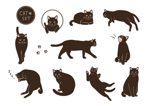 イラスト ネコ 猫 Images Browse 7 274 Stock Photos Vectors And Video Adobe Stock イラスト ネコ 猫 Images Browse 7 274 Stock Photos Vectors And Video Adobe Stock
