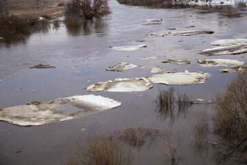 Lined up in a row, small white ice floes float along the river. Spring, snow melts, dry grass all around, floods begin and the river overflows. Day, cloudy weather, soft warm light.