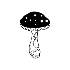 Magic mushrooms. Psychedelic hallucination. Outline vector illustration isolated on white. 60s hippie art. Coloring book for kids and adults.