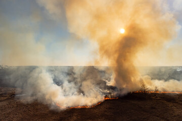 Aerial photo of wildfire in fields and forests. Big territory burning