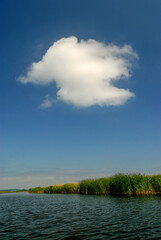 View of the lake on a sunny summer day, Poland