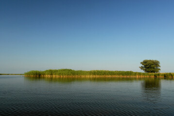 View of the lake on a sunny summer day, Poland