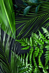Fresh tropical green leaves on dark background