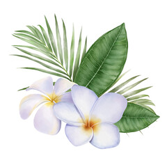Digital watercolor painting with tropical white Frangipani flowers and palm leaves.