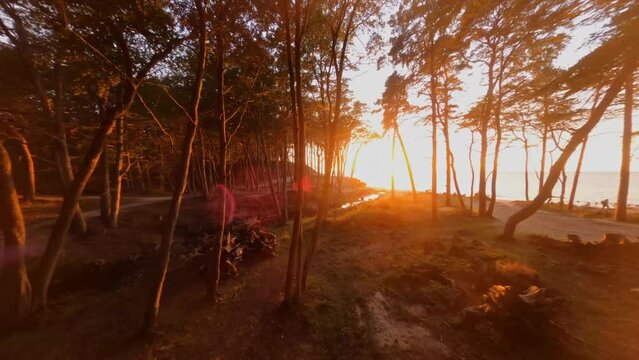 Przelot dronem wśr&oacute;d drzew podczas zachodu słońca nad morzem