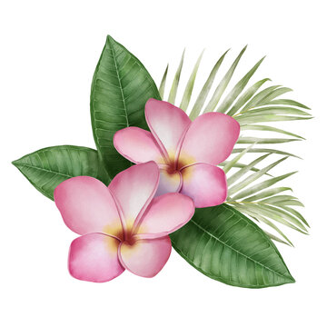 Digital watercolor painting with tropical pink Frangipani flowers and palm leaves.
