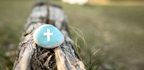 Weißes Krauz auf blau angemalten Stein auf Baumstamm in Wiese