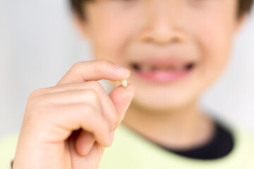 日本人の子供の抜け落ちた乳歯