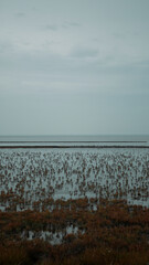 ocean view in Norden (Nordsee / Germany)