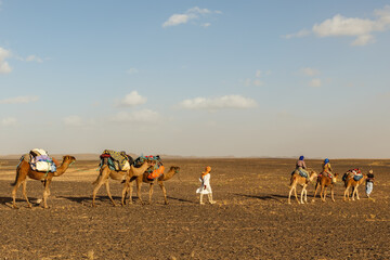 Camel caravan with tourists going through the Sahara Desert. Erg Chebbi in the background.