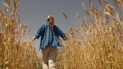 farmer runs across field fresh wheat. agriculture concept. farming. agribusiness wheat farm....