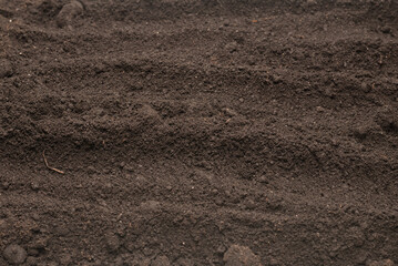 Black land for plant background. Top view.