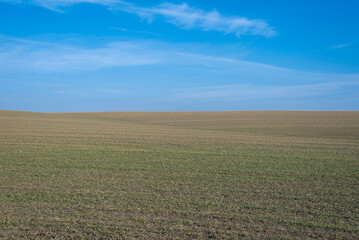 Fototapeta na wymiar Ploughed field and blue sky as background.