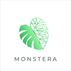Geometric monstera leaf illustration logo © Ricky