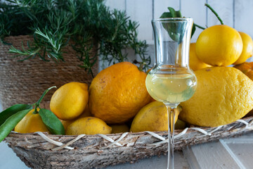 Limoncello liqueur and citrus fruits
Glass of limoncello liqueur and citrus fruits in a wooden...