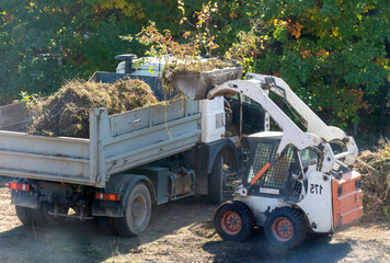 A skid steer loader clears the site for construction. Land work by the territory improvement. Machine for work in confined areas. Small tractor with a bucket for moving soil, turf and bulk materials.