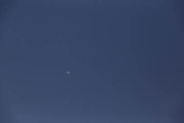 moon in the sky