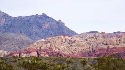 Rock Formation from Red Rock Canyon, Nevada