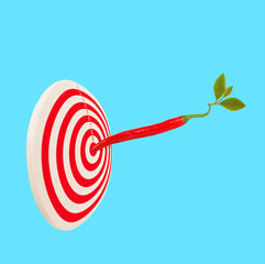 Red white target with beautiful red hot chili peppers hit in center. Bullseye hot food goal concept
