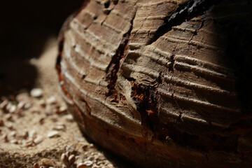 handmade bread, concept of traditional bread baking methods, selective focus