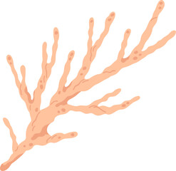 Coral Colored Illustration © Good Studio