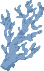 Blue Coral Colored Illustration