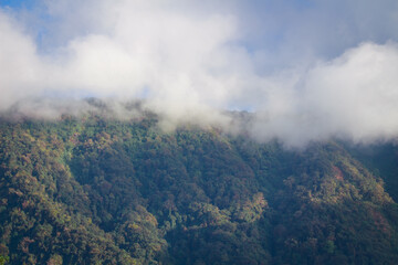 Mountain view in the rainforest