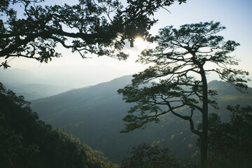 Obraz na płótnie Canvas Mountain view in the rainforest