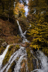 Autumn, Black Forest, Germany
